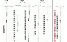 钓鲤鱼浮漂怎么调图解