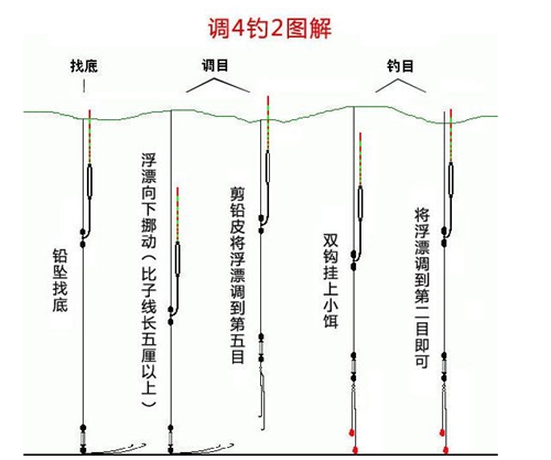 钓鲤鱼浮漂怎么调图解_WWW.YUJUCEPING.COM