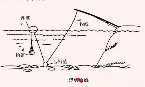 淡水鱼怎么作钓呢_WWW.YUJUCEPING.COM