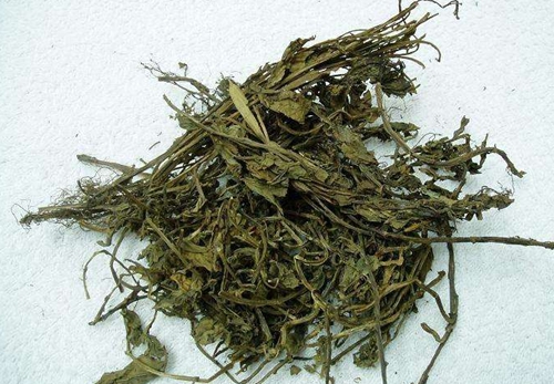 非常简单的钓鲫鱼窝料配方_WWW.YUJUCEPING.COM