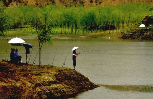 雨天对钓鱼有什么影响_WWW.YUJUCEPING.COM