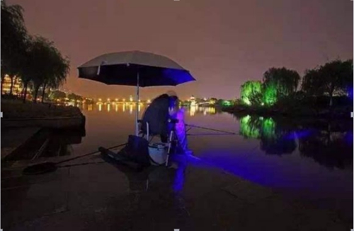南方冬天夜钓的技巧_WWW.YUJUCEPING.COM