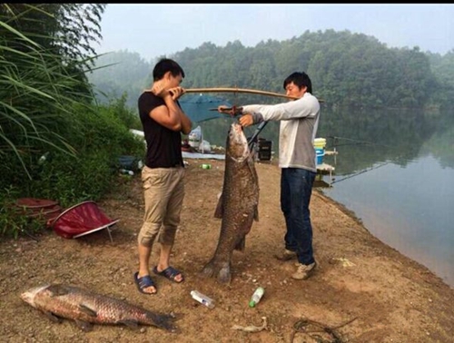 青鱼咬钩的浮漂动作特征_WWW.YUJUCEPING.COM