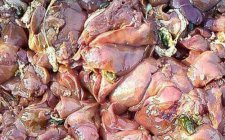 腥饵适合钓什么鱼