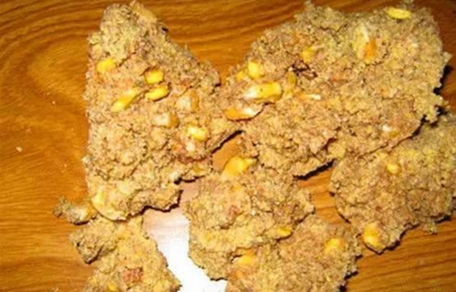发酵饵是什么_WWW.YUJUCEPING.COM