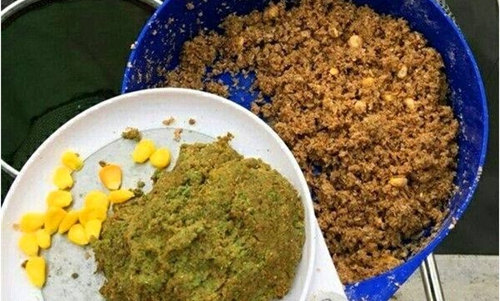 发酵饵是什么_WWW.YUJUCEPING.COM