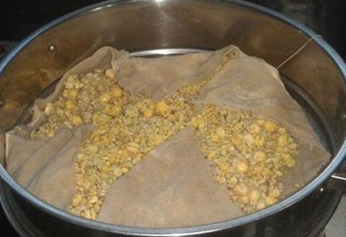 发酵饵是什么_WWW.YUJUCEPING.COM