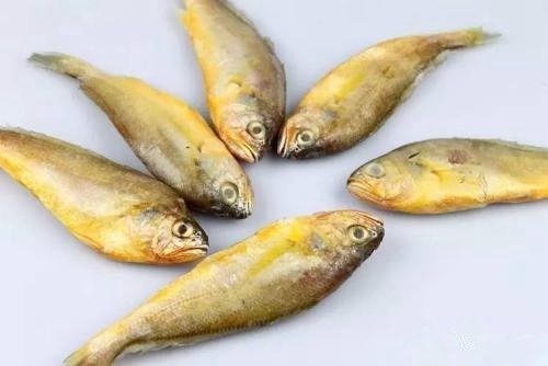 黄花鱼的钓法_WWW.YUJUCEPING.COM