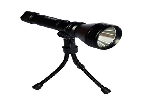 夜钓灯什么颜色好_WWW.YUJUCEPING.COM
