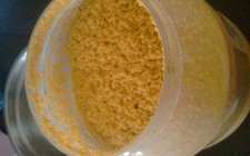 冬天钓鲫鱼窝料配方