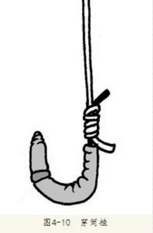 蚯蚓的六种挂钩方法图解_WWW.YUJUCEPING.COM