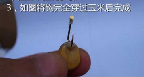 玉米粒钓鱼挂法图解_WWW.YUJUCEPING.COM