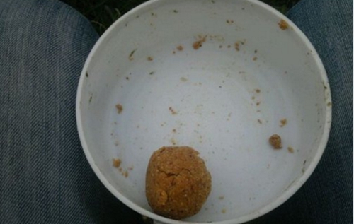 河里钓鱼用什么鱼饵最好_WWW.YUJUCEPING.COM