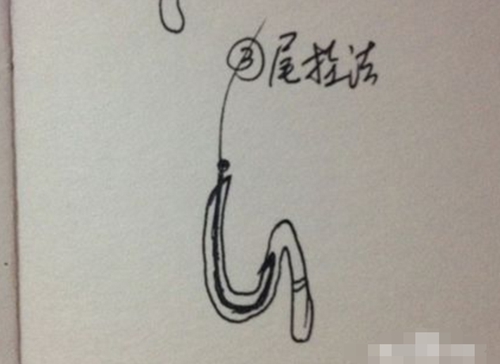 钓鱼挂蚯蚓图解_WWW.YUJUCEPING.COM