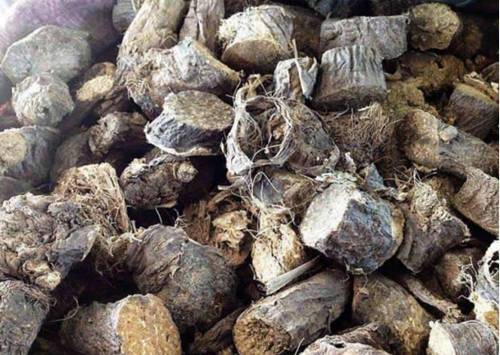 老中医泡钓鱼药酒配方_WWW.YUJUCEPING.COM