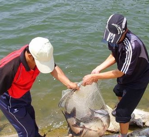传统钓遛边钓法经验_WWW.YUJUCEPING.COM