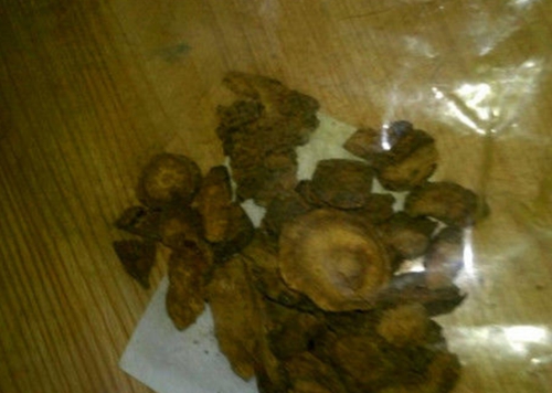 适合夏天钓鱼的中药饵料配方_WWW.YUJUCEPING.COM