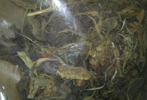 适合夏天钓鱼的中药饵料配方_WWW.YUJUCEPING.COM