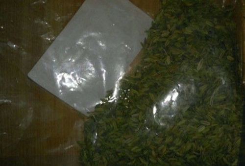 适合夏天钓鱼的中药饵料配方_WWW.YUJUCEPING.COM