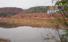 野塘的钓法