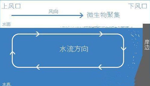 上下风口对钓鱼的影响_WWW.YUJUCEPING.COM