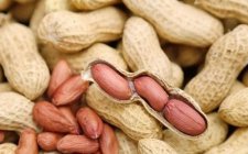 怎么自制花生粉饵料钓鱼