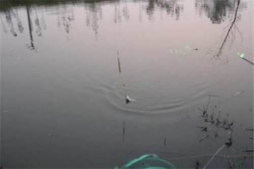 水库钓鱼的钓位的选择_WWW.YUJUCEPING.COM