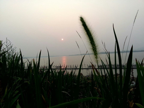 夏天早晚钓鱼六种情况不能钓_WWW.YUJUCEPING.COM