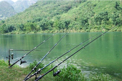 怎么在山里野塘台钓_WWW.YUJUCEPING.COM