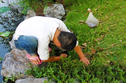 钓黄鳝的几个技巧_WWW.YUJUCEPING.COM