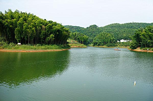 早春钓鲫鱼的要点_WWW.YUJUCEPING.COM