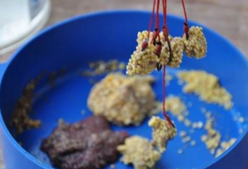 传统钓打窝要点_WWW.YUJUCEPING.COM