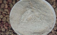 四季鲫鱼饵料配方经验