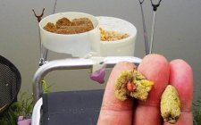 传统钓包食钓法经验技巧