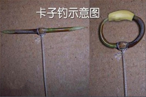 卡钓的特点与钓法_WWW.YUJUCEPING.COM