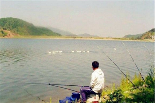 钓鲤鱼选钓位方法技巧_WWW.YUJUCEPING.COM