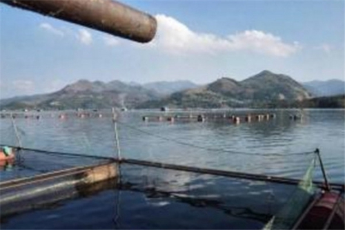 江河流水的几个好钓位_WWW.YUJUCEPING.COM