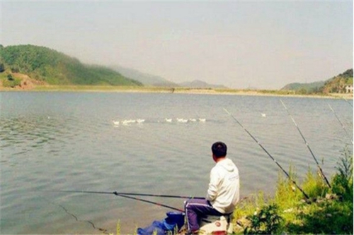 刮风天怎么判断是否合适钓鱼_WWW.YUJUCEPING.COM