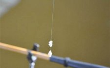 分享必学的竞技钓重要技巧