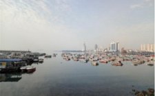 哪些水域中鱼率高