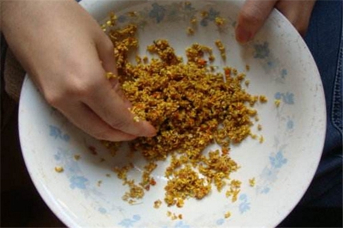 几种天然饵料的知识讲解_WWW.YUJUCEPING.COM