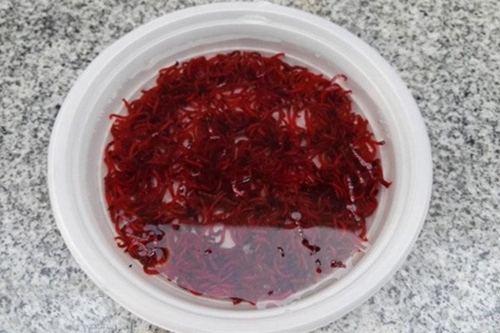 红虫做饵的五种方法_WWW.YUJUCEPING.COM
