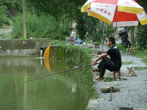 鱼塘钓鲤鱼钓位选择重要性_WWW.YUJUCEPING.COM