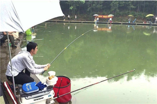 不宜使用台钓的前提技巧_WWW.YUJUCEPING.COM