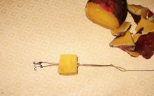 天然的鱼饵红薯饵料