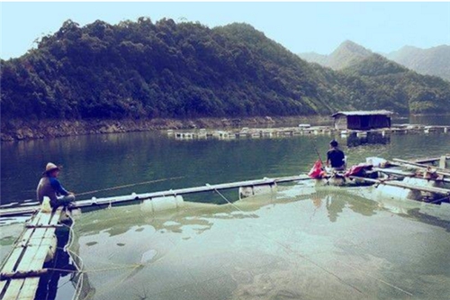 养殖网箱水域海钓红鱼技巧_WWW.YUJUCEPING.COM