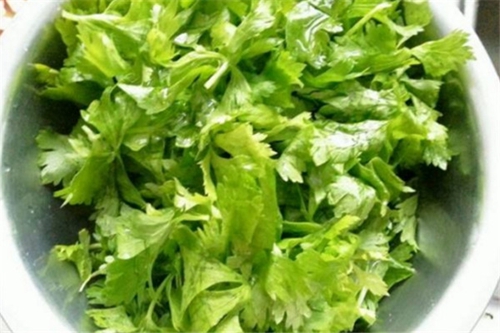 几款高手自制饵料配方_WWW.YUJUCEPING.COM