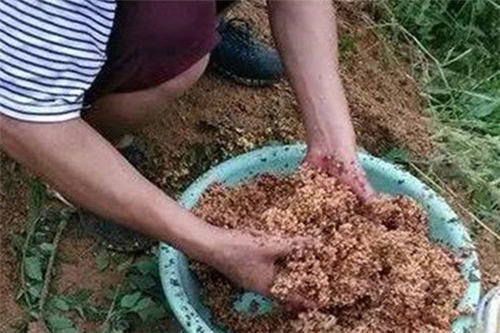 分享野钓的打窝原则_WWW.YUJUCEPING.COM