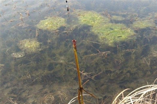 浅谈野钓防挂小方法_WWW.YUJUCEPING.COM