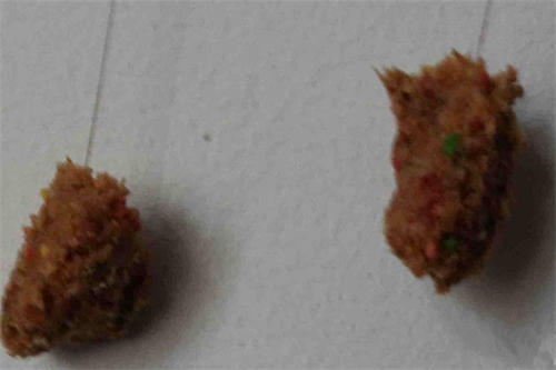 最常见的饵料制作技巧_WWW.YUJUCEPING.COM